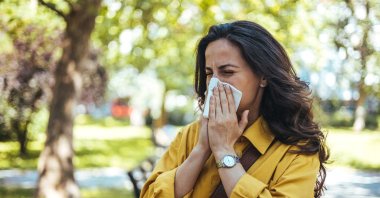 Air pollution can also increase people&#039;s sensitivity to allergens, while invasive species are spreading into new regions and causing fresh waves of allergies. (Shutterstock Photo)