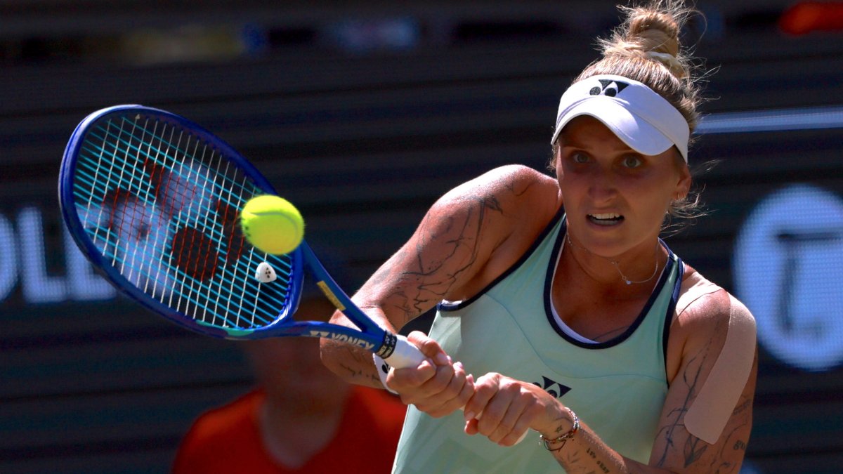 Vondrousova hints at Wimbledon rebirth with Berlin Open title