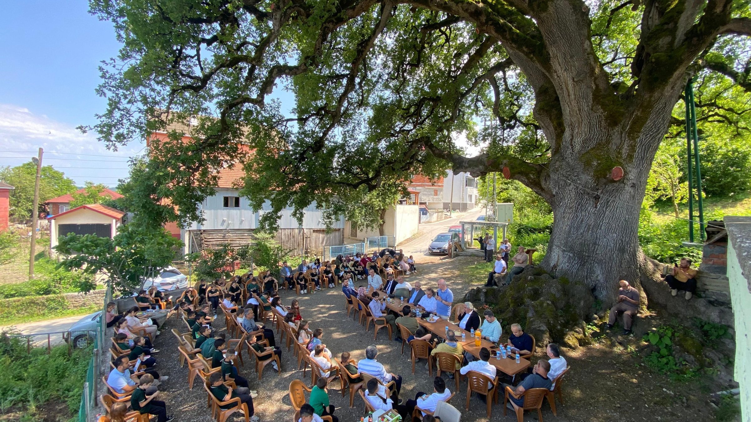Villagers and students gather under the shade of the 677-year-old monumental oak tree, Akçabük village, Sinop, Türkiye, June 17, 2025. (AA Photo)