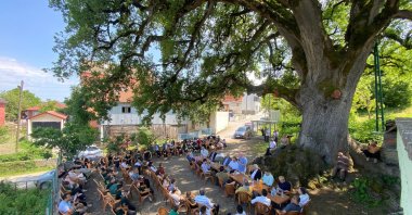 Villagers and students gather under the shade of the 677-year-old monumental oak tree, Akçabük village, Sinop, Türkiye, June 17, 2025. (AA Photo)