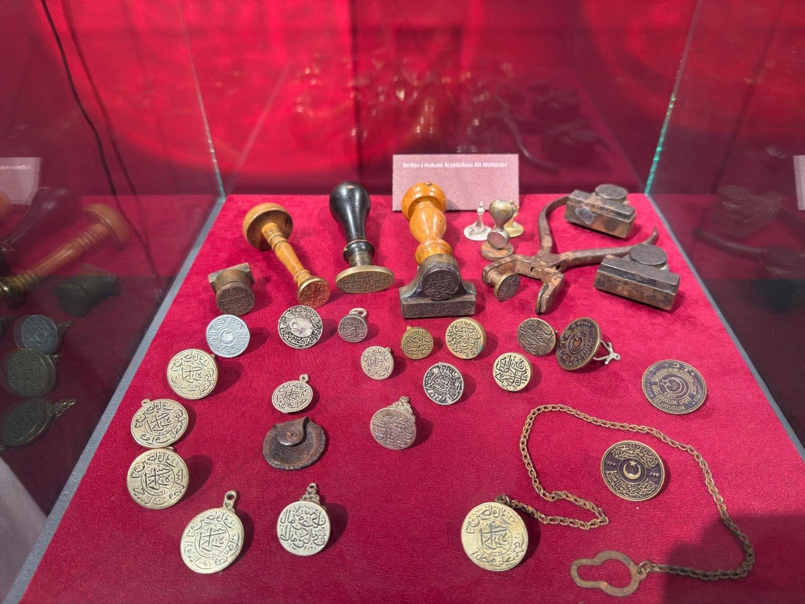 The seals are on display at the