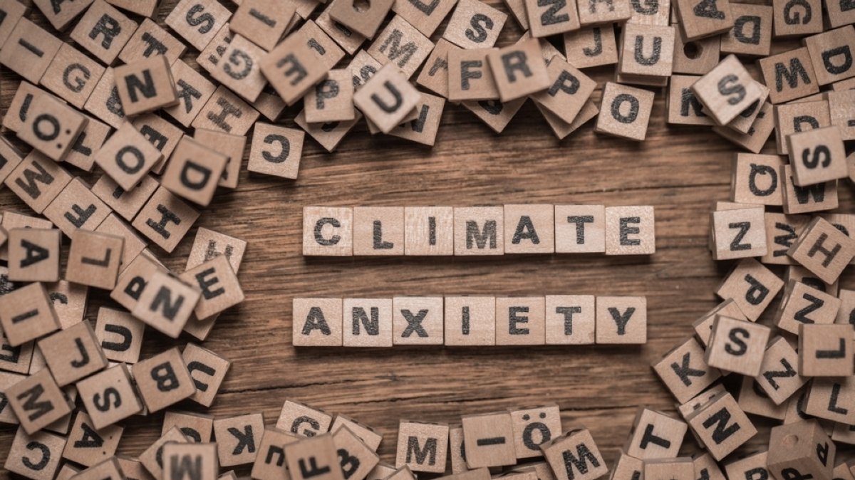 Feeling climate grief? How to manage emotional toll of changing world