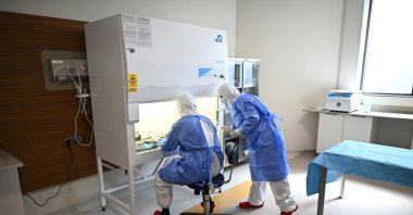 Doctors examine preserved skin samples inside Türkiye’s first skin bank and tissue laboratory, Adana, Türkiye, June 18, 2025. (AA Photo)