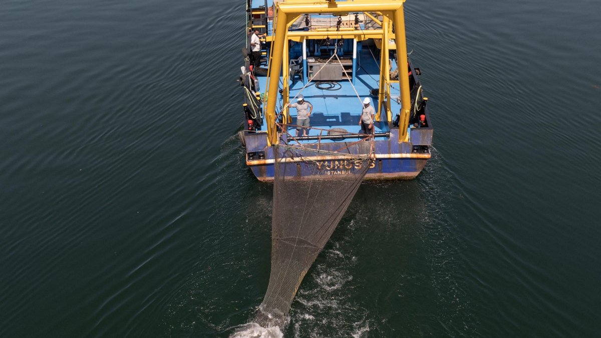 Researchers from Istanbul University monitor mucilage levels from the R/V Yunus-S in the Sea of Marmara, Istanbul, Türkiye, June 26, 2025. (AA Photo) 