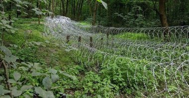 Barbed wire on the front line in the Sumy region, Ukraine, June 26, 2025. (AFP Photo)