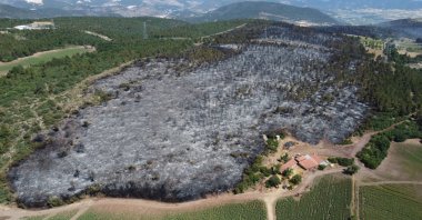 Cooling efforts continue on the controlled forest fire in Vezirhan, Bilecik province, Türkiye, June 2, 2025. (AA Photo)