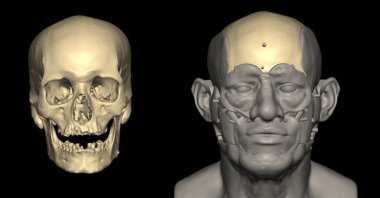 This image provided by researchers shows a facial reconstruction of a man radiocarbon dated to around 2855-2570 cal BCE found in Nuwayrat, Egypt. (Caroline Wilkinson/Liverpool John Moores University via AP)