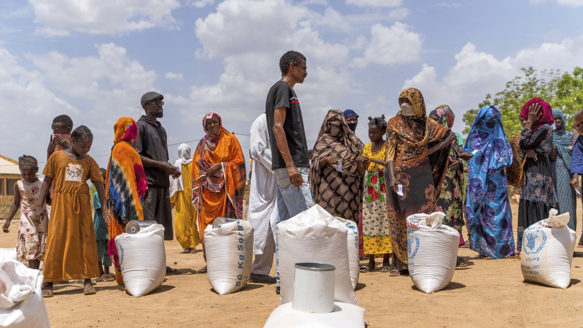 Sudan’s farmers watch livelihoods wither as war cuts power, water