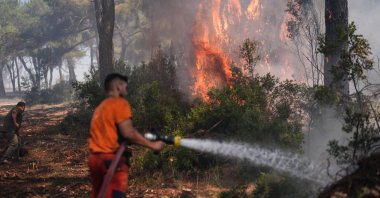 Firefighters battle a wildfire in western Izmir province, Türkiye, July 4, 2025. (AA Photo)