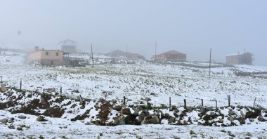Snow blankets Ovit Yaylası in Rize, July 4, 2025. (AA Photo)
