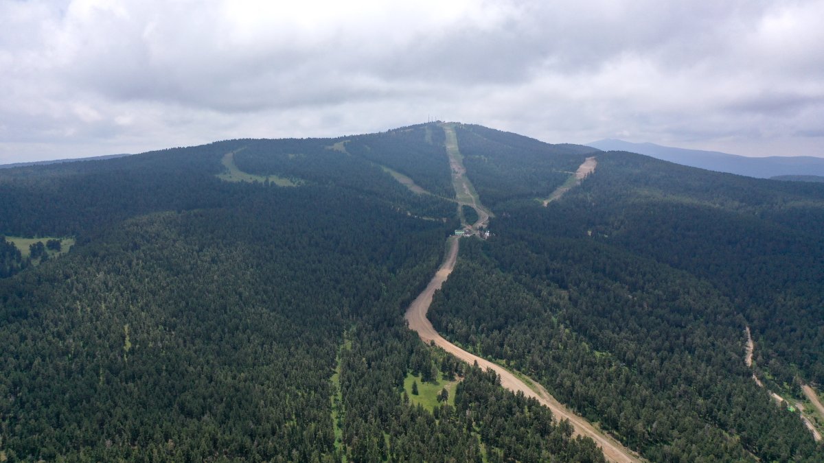 Türkiye reduces fire response time as forest area continues to grow