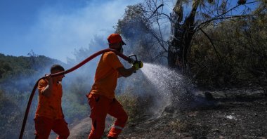 More than 3,000 forest workers fight to control wildfires in Seferihisar and Menderes, Izmir, Türkiye, July 1, 2025. (AA Photo) 