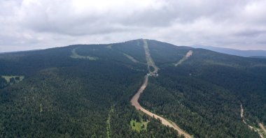 Forest protection teams monitor fire risks around the clock across 655,000 hectares, Erzurum, Türkiye, July 4, 2025. (AA Photo)