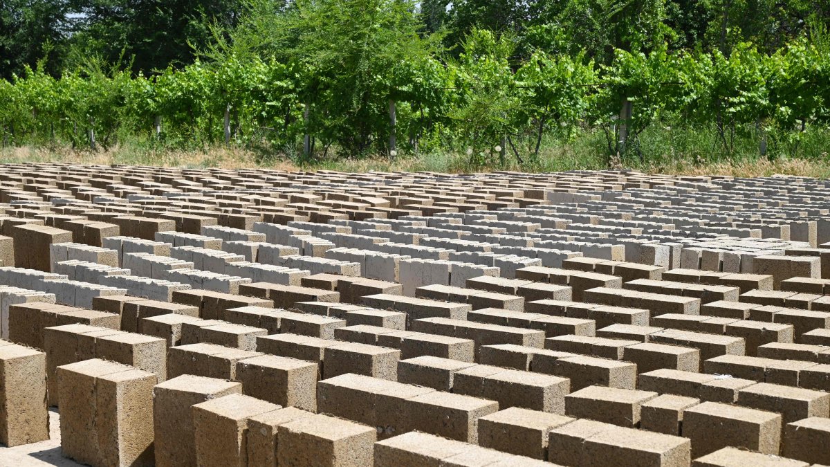 Earthy, affordable, eco-friendly: Allure of rice block homes