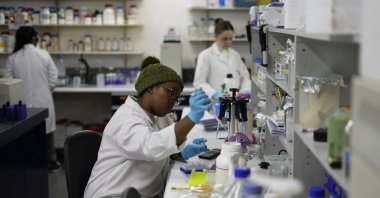A laboratory technician works on samples at the Wits laboratory Antiviral Gene Therapy Research Unit, at University of the Witwatersrand Medical School, in Johannesburg, South Africa, May 23, 2025. (AP Photo)