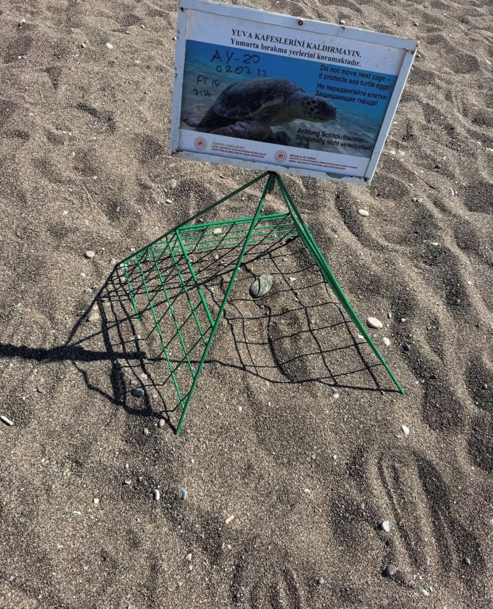 The nesting cage for the protection of sea turtle eggs at Iztuzu Beach, Muğla, Türkiye, July 9, 2025. (Photo by Neslişah Yılmaz Hidayetoğlu)