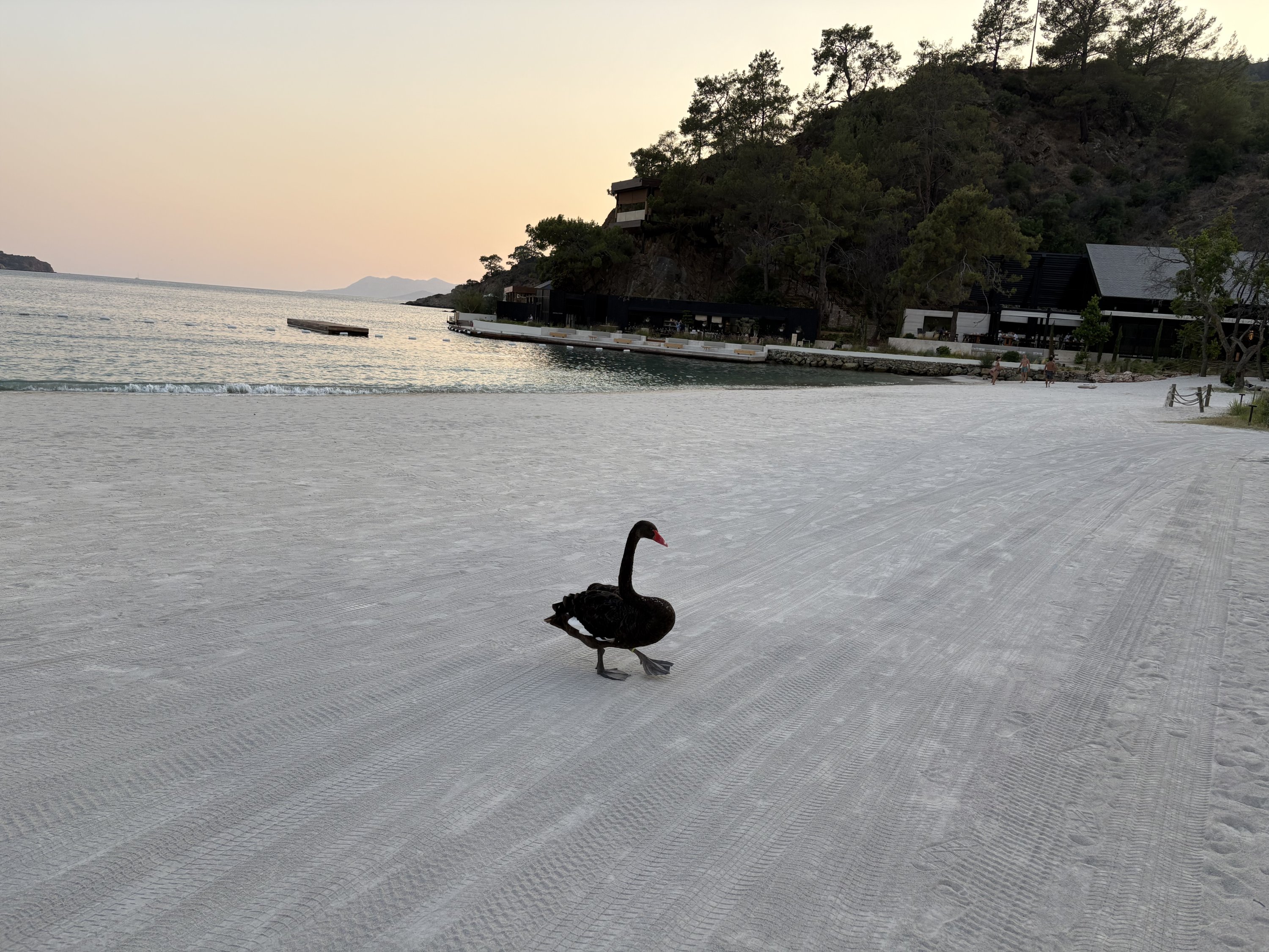 A view of the beach at Ahama in Günlüklü Bay, Göcek, Muğla, southwestern Türkiye, July 17, 2025. (Courtesy of Funda Karayel)