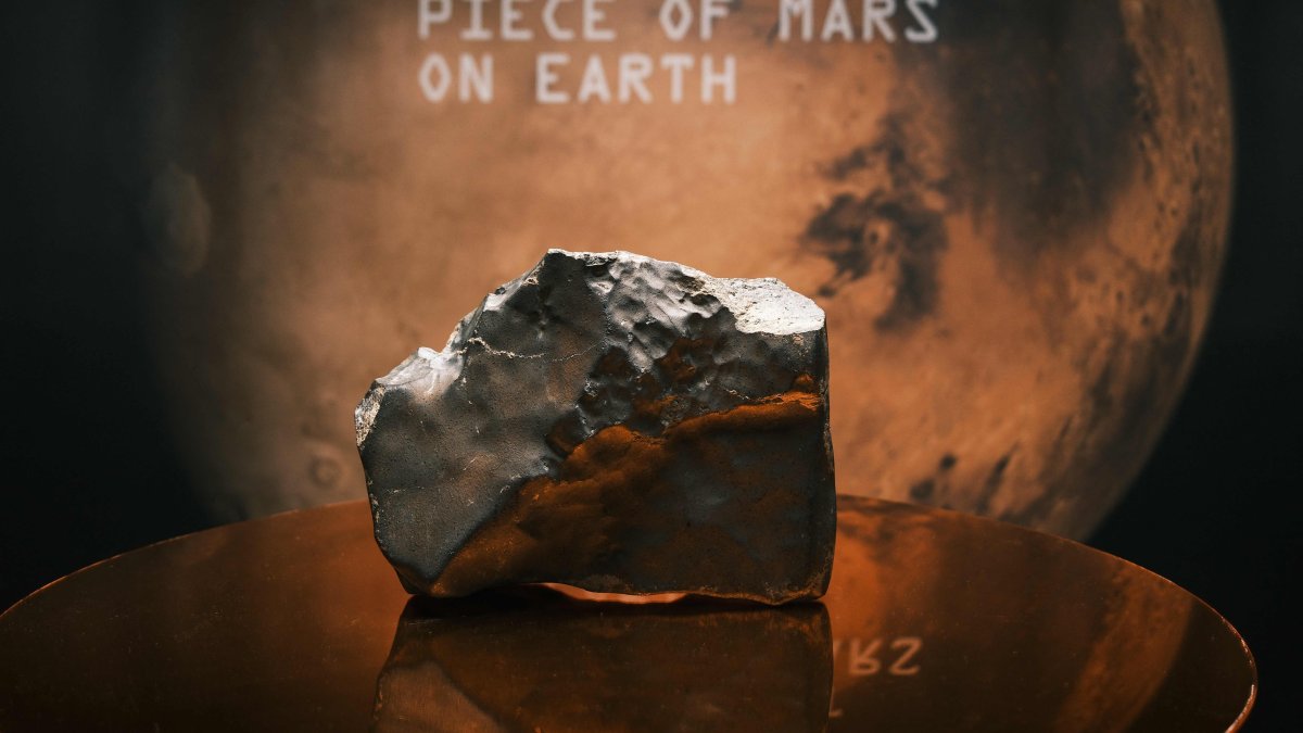 Largest Martian meteorite ever found sells for $5.3M in US auction