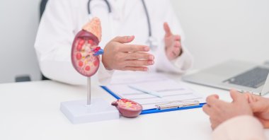 A doctor explains kidney-related health issues to a patient during a medical consultation. (Shutterstock Photo) 
