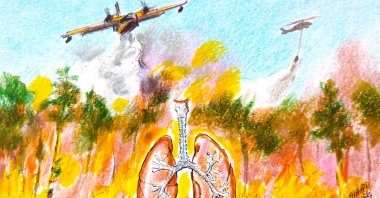 "From Izmir to Antalya, blackened skies and the scent of scorched pine have become unwelcome hallmarks of the season." (Illustration by Erhan Yalvaç)