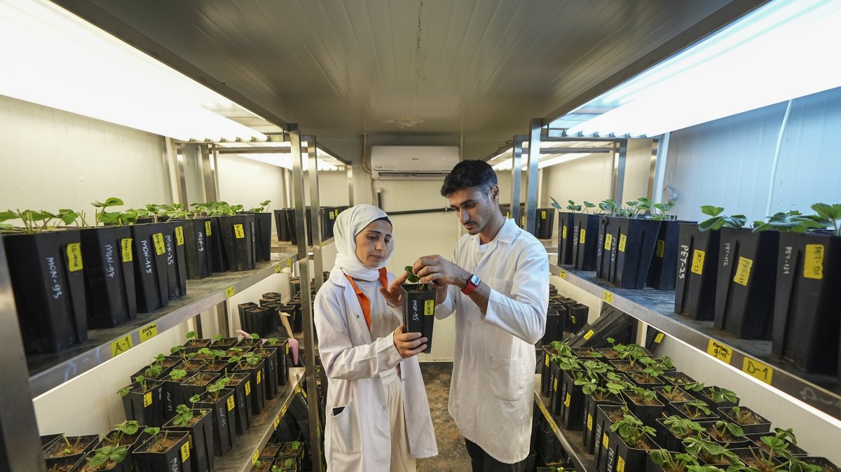 Students examine seed samples using specialized equipment at one of the accredited laboratories of the Emine Erdoğan Institute of Seed Science and Technology, Izmir, Türkiye, July 18, 2025. (AA Photo)