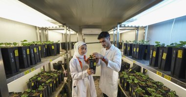 Students examine seed samples using specialized equipment at one of the accredited laboratories of the Emine Erdoğan Institute of Seed Science and Technology, Izmir, Türkiye, July 18, 2025. (AA Photo)