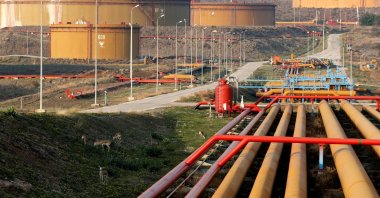 A general view of oil tanks at Türkiye&#039;s Mediterranean port of Ceyhan, some 70 kilometers (43.5 miles) from Adana province, Türkiye, Feb. 19, 2014. (Reuters Photo)