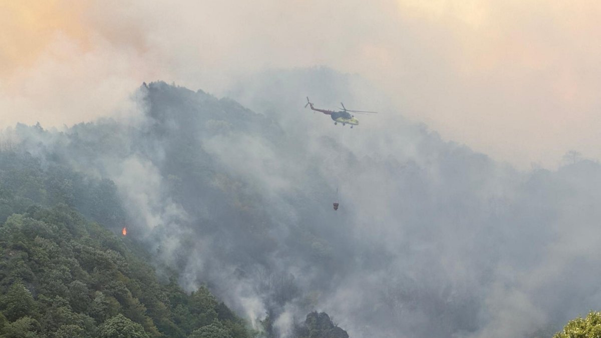 Teams contain major forest fires across multiple regions of Türkiye