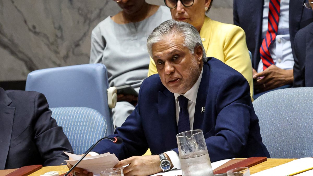 Pakistan's Foreign Minister Ishaq Dar, who is acting as president of the U.N. Security Council, addresses a meeting of the United Nations Security Council on international peace and security through multilateralism, at U.N. headquarters, New York City, U.S., July 22, 2025. (Reuters Photo)
