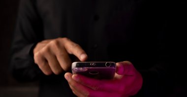 The platform offers over 8,500 services from more than 1,000 institutions, providing citizens 24/7 access to public services. (Shutterstock Photo) 