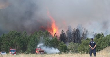 A firefighter looks on during a fight against wildfires in Seyitgazi, Eskişehir, Türkiye, July 23, 2025. (IHA Photo)