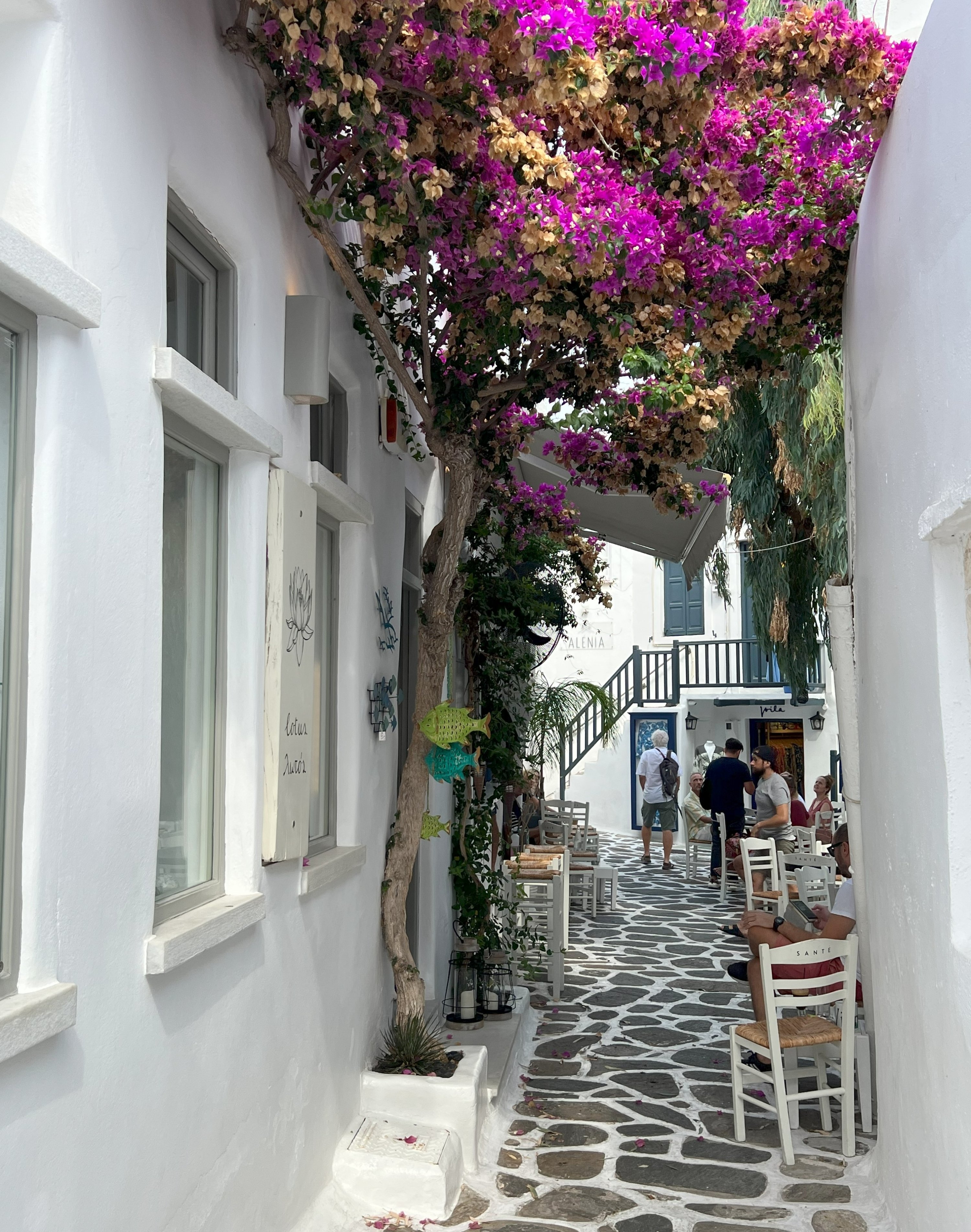 People wander through the narrow streets lined with traditional white houses, Paros, Greece, July 13, 2025. (Photo by İlker Topdemir)