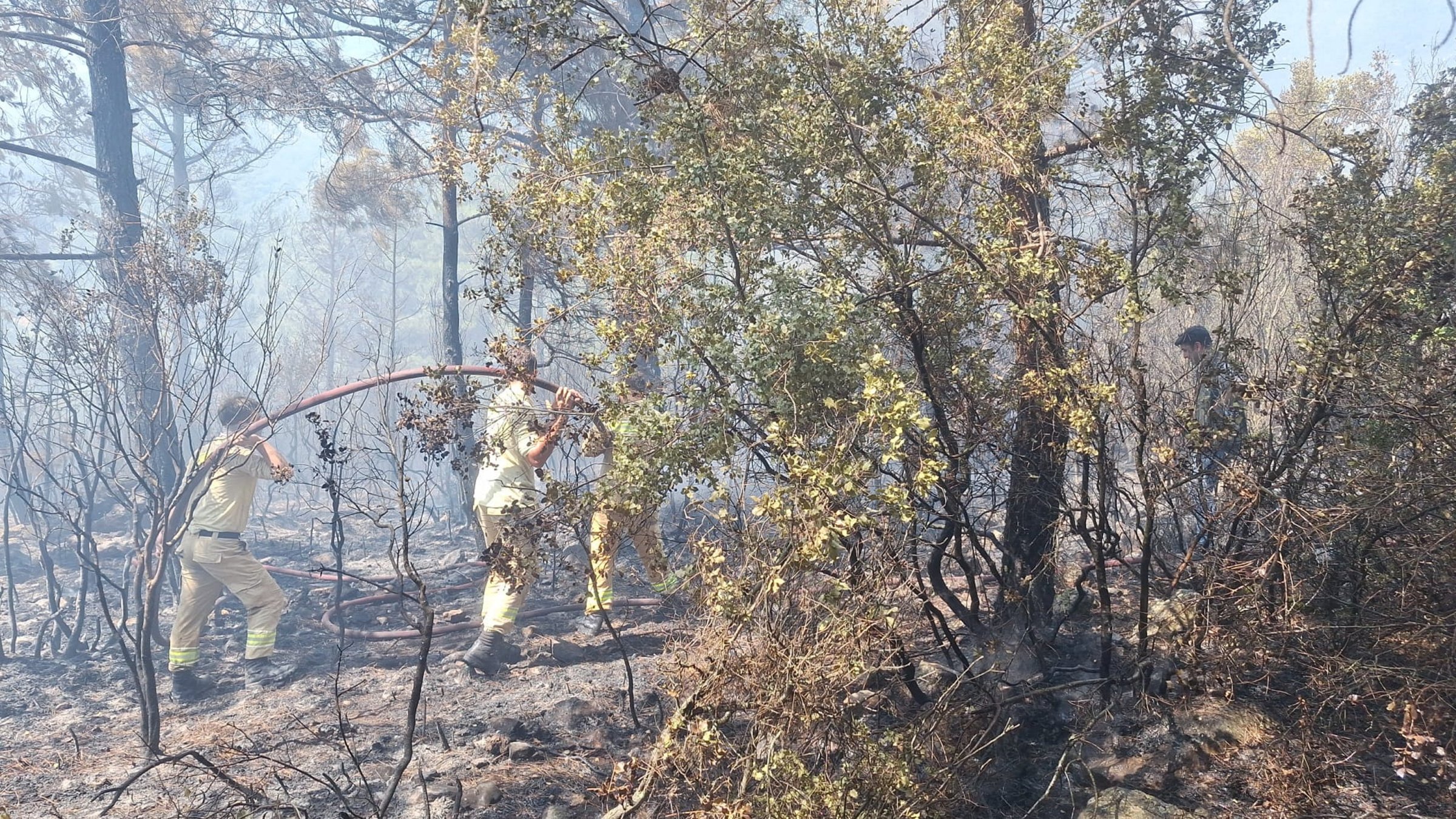 Firefighting teams work to control a forest blaze with aerial and ground support, Antalya, Türkiye, July 23, 2025. (AA Photo)