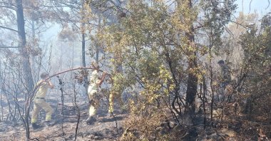 Firefighting teams work to control a forest blaze with aerial and ground support, Antalya, Türkiye, July 23, 2025. (AA Photo)