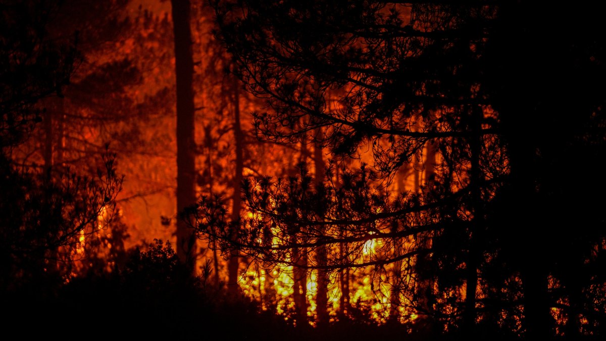 Firefighting teams continue efforts to contain a forest fire that reignited due to strong winds after being largely brought under control, Orhaneli, Bursa, Türkiye, July 28, 2025. (AA Photo)