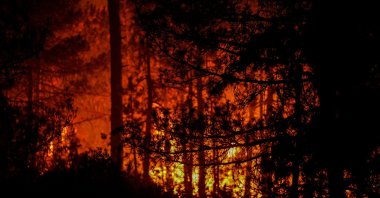 Firefighting teams continue efforts to contain a forest fire that reignited due to strong winds after being largely brought under control, Orhaneli, Bursa, Türkiye, July 28, 2025. (AA Photo)