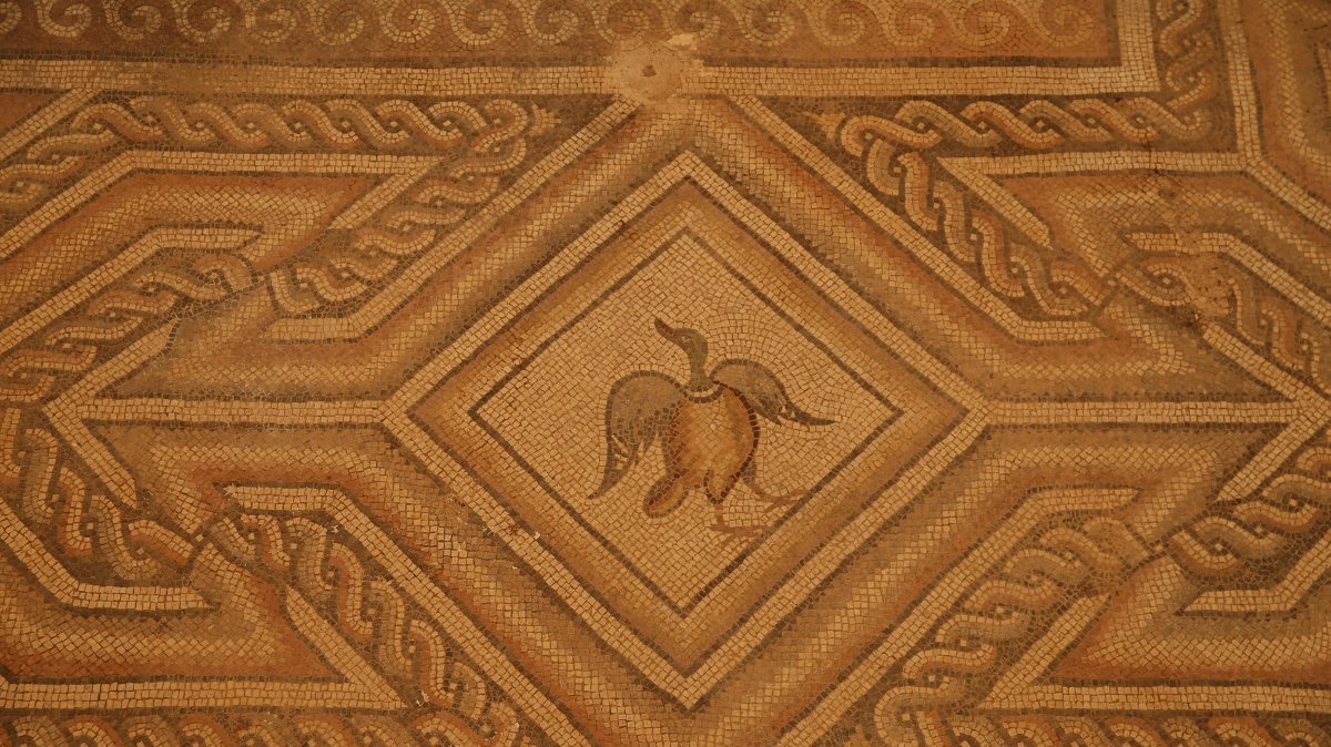 Restoration work on the mosaic has been completed in Perre, Adıyaman, southeastern Türkiye, July 9, 2025. (AA Photo)