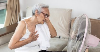 The woman displayed symptoms of a heart attack or a panic attack in the heat. (Shutterstock Photo)