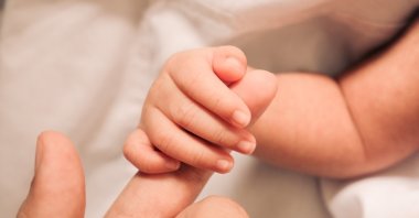 The historic embryo was one of four created by Linda Archerd and her then-husband in the 1990s through IVF treatment to have a child. (Shutterstock Photo)