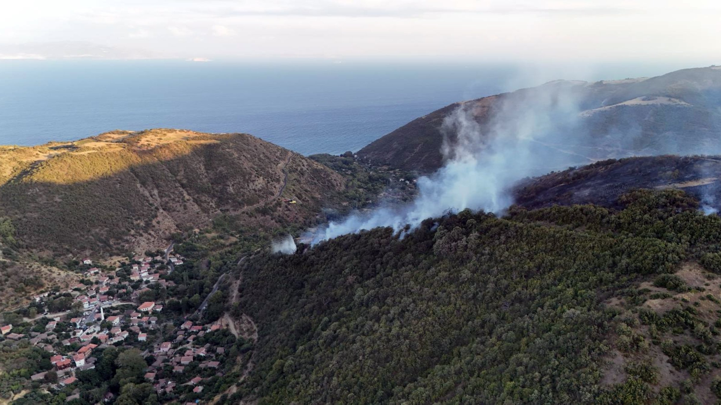 Türkiye’s wildfire response and the rise of digital mobbing