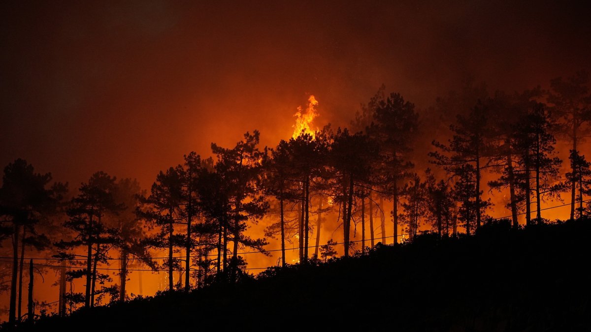 Approximately 3,000 hectares of forest land were damaged in the recent wildfires in Bursa, Türkiye, July 30, 2025. (IHA Photo)