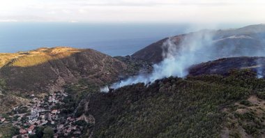The forest fire in the Uçmakdere neighborhood of Şarköy is being extinguished, Tekirdağ, Türkiye, Aug. 1, 2025. (DHA Photo)
