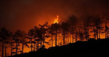 Approximately 3,000 hectares of forest land were damaged in the recent wildfires in Bursa, Türkiye, July 30, 2025. (IHA Photo)