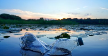Plastic pollution is a hidden health crisis costing $1.5 trillion a year. (Shutterstock Photo)