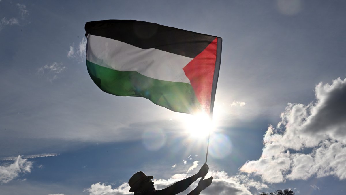 A protester waves a Palestinian flag during a pro-Palestine rally calling for sanctions against Israel outside Parliament House, Canberra, Australia, July 20, 2025. (EPA Photo)