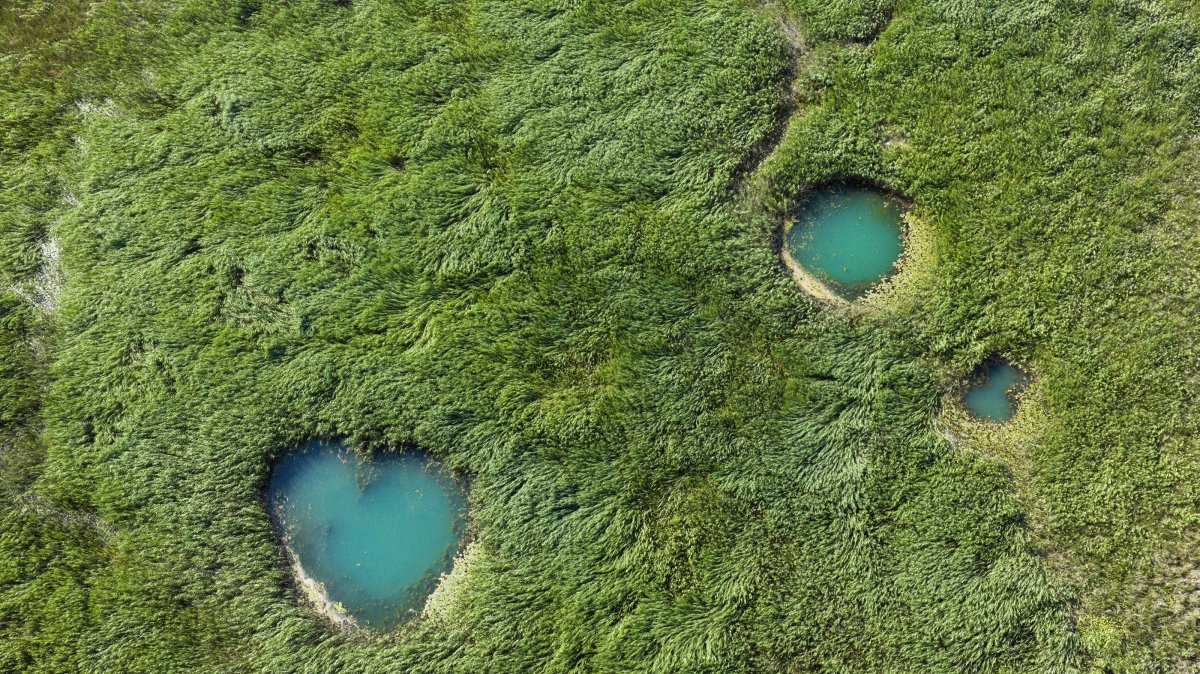 An aerial view of new springs that have emerged as drought lowers water levels in Beyşehir Lake, Konya, central Türkiye, June 29, 2025. (AA Photo)