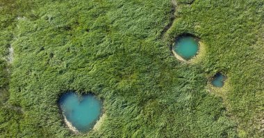 An aerial view of new springs that have emerged as drought lowers water levels in Beyşehir Lake, Konya, central Türkiye, June 29, 2025. (AA Photo)