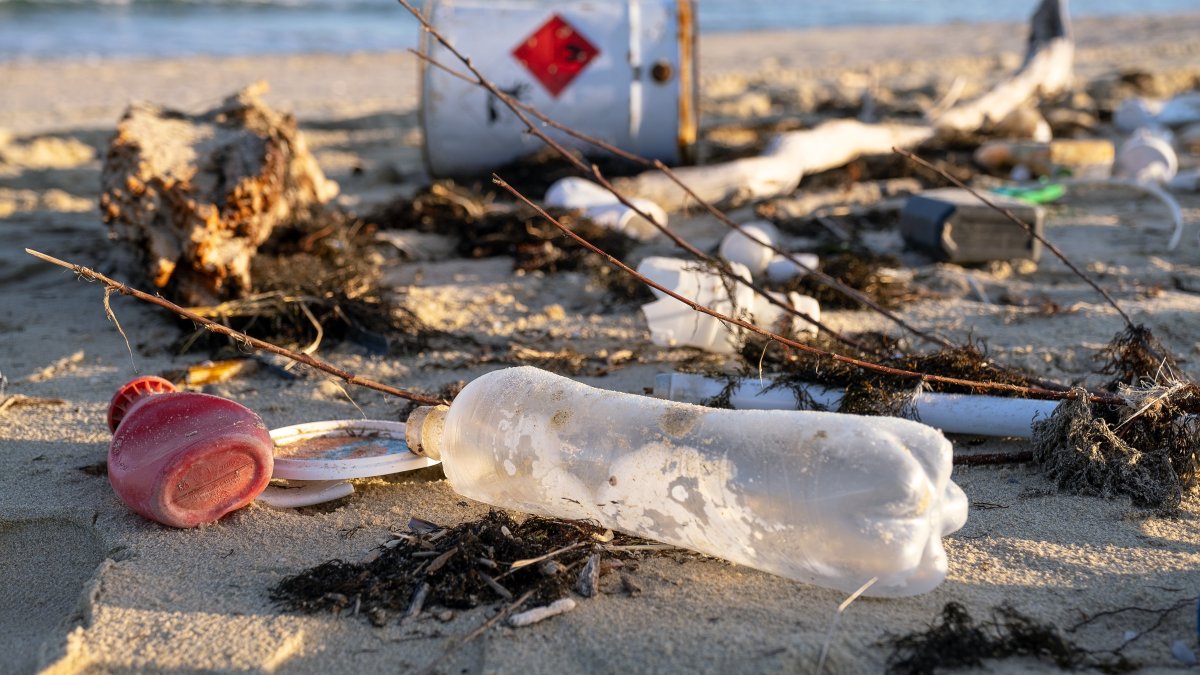 &quot;The report highlights a stark contradiction: While one-fourth of the wasted food could feed 800 million hungry people worldwide, the scale of waste undermines global sustainability goals.&quot; (Shutterstock Photo)