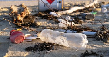 &quot;The report highlights a stark contradiction: While one-fourth of the wasted food could feed 800 million hungry people worldwide, the scale of waste undermines global sustainability goals.&quot; (Shutterstock Photo)