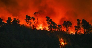 Flames engulf a forested area during a wildfire in Saint-Laurent-de-la-Cabrerisse, Aude department, France, Aug. 6, 2025. (EPA Photo)